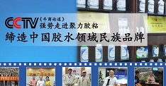 2018年聚力膠業(yè)加強(qiáng)人才隊(duì)伍建設(shè),加強(qiáng)自身競(jìng)爭(zhēng)能力